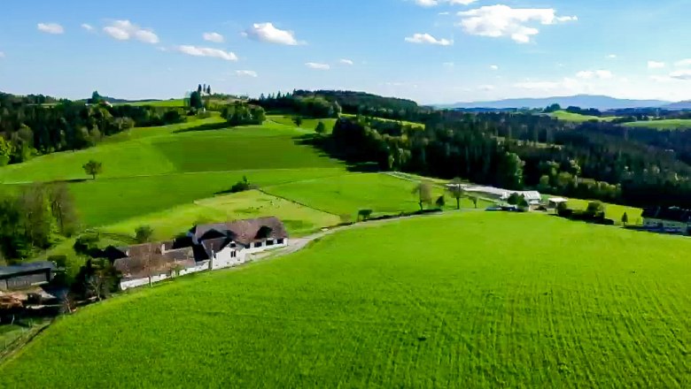 Landschaft mit grünen Feldern und einem Bauernhof unter blauem Himmel.