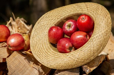 Äpfel, © CC0 Creative Commons, www.pixabay.com
