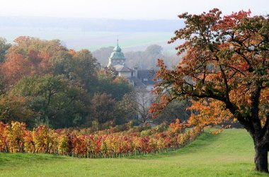 Katzelsdorf Kloster, © Thermengemeinden